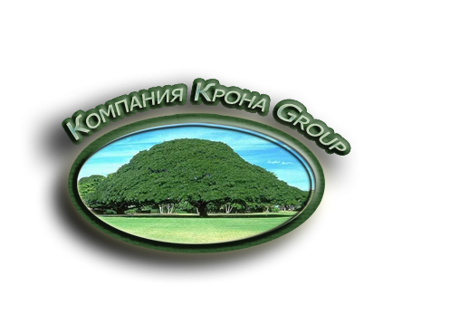 логотип Компания Крона Group